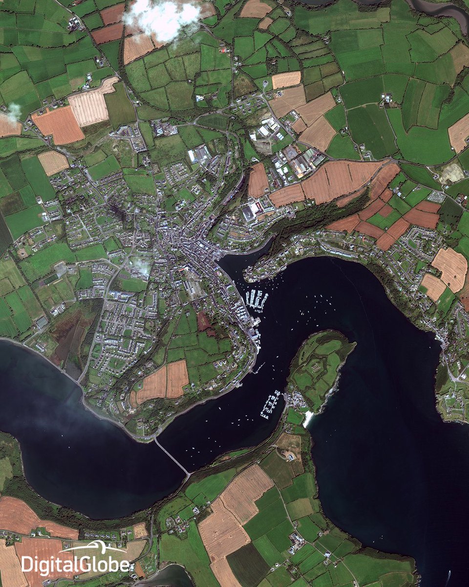 Embedded image permalink