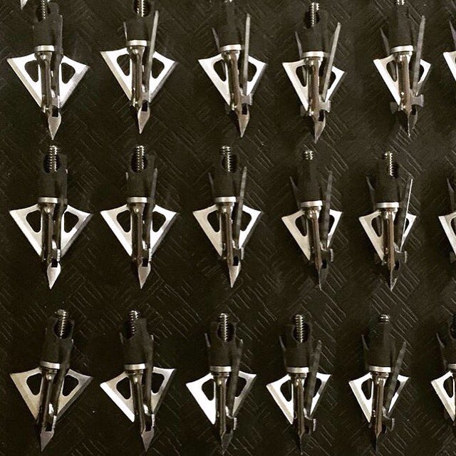 Nate Hosie tweet media