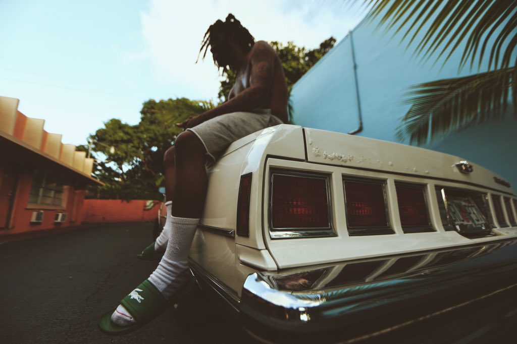 RodddZilla's tweet photo. FLORIDABOY🍊🌴💰™ https://t.co/tQBrYYb0Mp