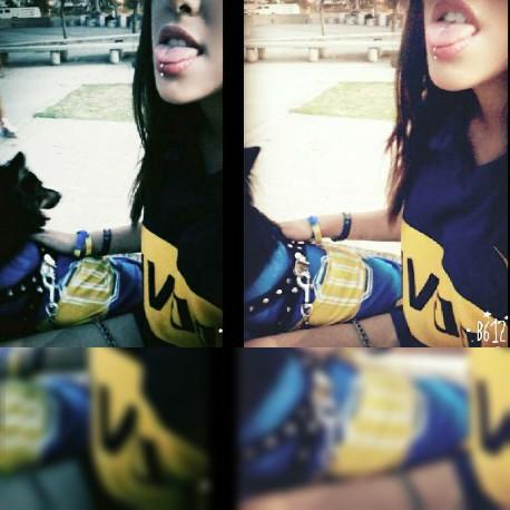 hernan_mara's tweet photo. Mi bostero favorito🐶 #DelMasGRANDE 💙💛💙 https://t.co/N9MjRDCF4l