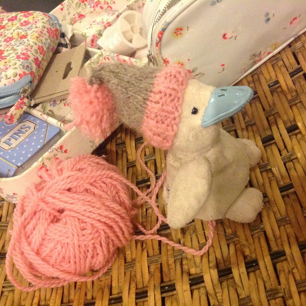 IssyMasour's tweet photo. #knittingjanuary my daughter persuaded me to knit her duck a hat #ErikaKnight DK Blossom #knittingpride https://t.co/ylhHNHrHlt