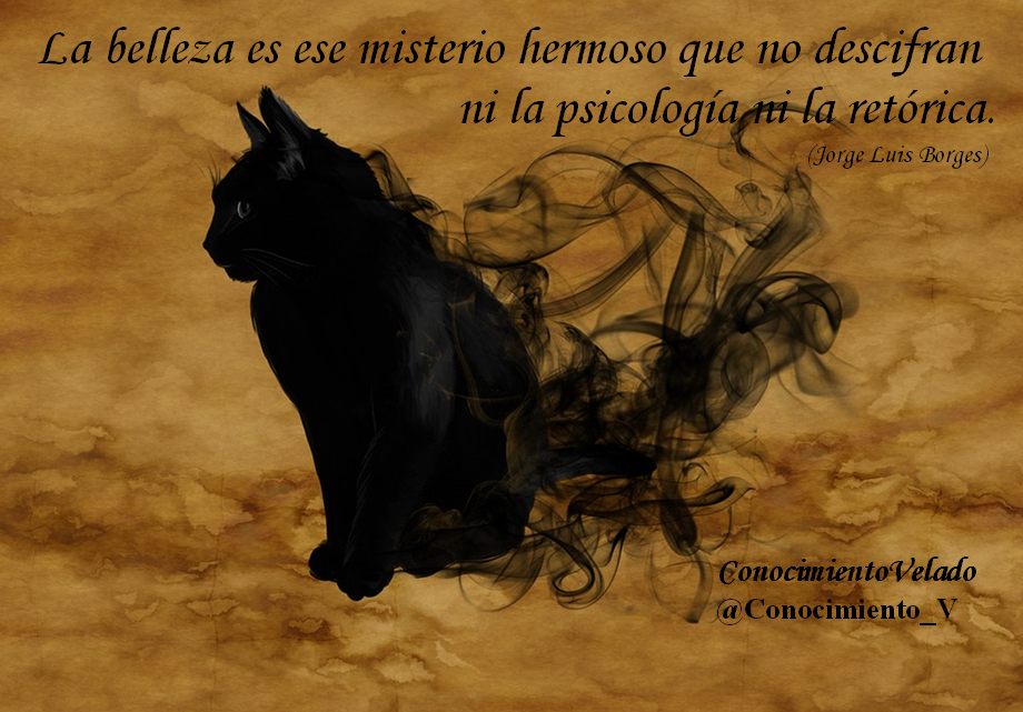 MMoreno_yomismo's tweet photo. RT @Conocimiento_V: #EADT #MGWV #FREUYYEE #TEAMSHARIS #TEAMUNIDOS #MESIGUESTESIGO #SUPREM https://t.co/SeuyjKSCbx