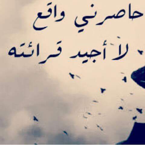 hendhewit tweet picture
