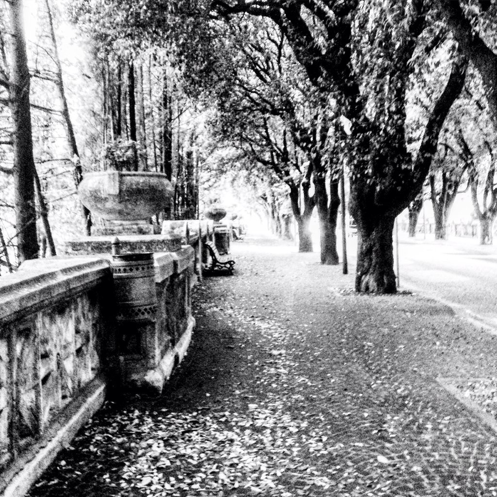 IlBorgoSpoleto's tweet photo. #spoleto #spoletolovers #spoletoexperience foto di @Ealloraditelo https://t.co/M9NPHvsUL4