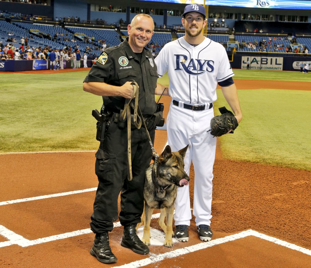 Dog Day at the Rays