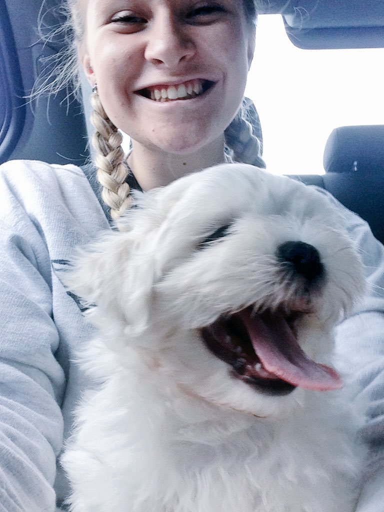 EllieConnick's tweet photo. 🐶🐶🐶 https://t.co/yyDyPVq7gH