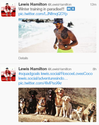 FakeVivian's tweet photo. In case you missed it, @LewisHamilton is looking for a girlfriend!! 
#Hot #Hot #Naked #CutieDogs #Naked https://t.co/1A8IS1L4Od
