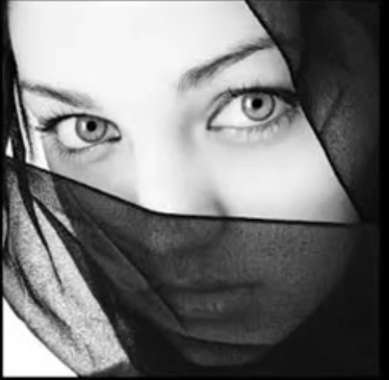 1acd1fe0c09b4c7's tweet photo. باردة الدنيه او ذكرتك ... 
و شتعل كلبي او دفيت .. https://t.co/h2J0e2u22S