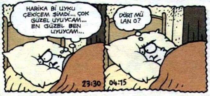 Harika bir uyku çekicem şimdi...