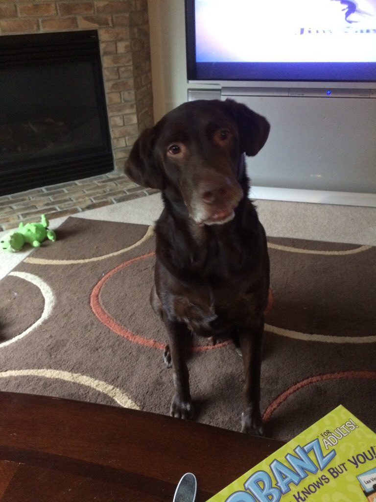 SeeCharlieFetch's tweet image. #Jeremy