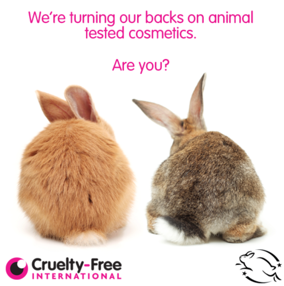 _AnimalAdvocate's tweet photo. Looking 4 clarity? 
@RickyGervais drops this #TruthBomb
Look for @CrueltyFreeIntl bunny logo &amp; shop #CrueltyFree. https://t.co/9xM66mpuwc