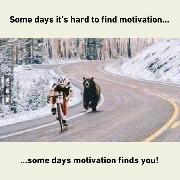 9GAG ❤️ Memeland tweet media