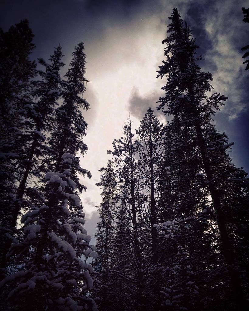 BlueMountainBel's tweet photo. Beatiful day on the slopes at @coppermtn with @culpeperwoodchuck #skicolorado #indatrees #… https://t.co/e7BZSxhutc https://t.co/s4L8BfdmwZ