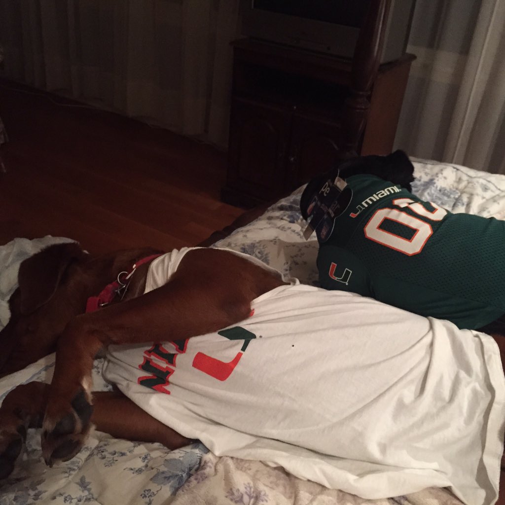 ReedMcDonough1's tweet photo. #PetsOfUM Ronald and Toby ready for the game. https://t.co/irDvoDBP6g