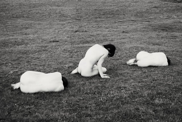 artsy's tweet photo. Haunting photographs capture the beauty and temporality of youth at @ThePrintAtelier: https://t.co/45TJ0fP5zK https://t.co/LubtZAFFr5