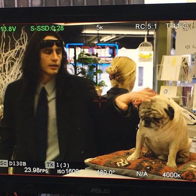 gregsestero's tweet photo. Hi doggy is it real thing? #TheDisasterArtist https://t.co/xIGYR2R0Hi