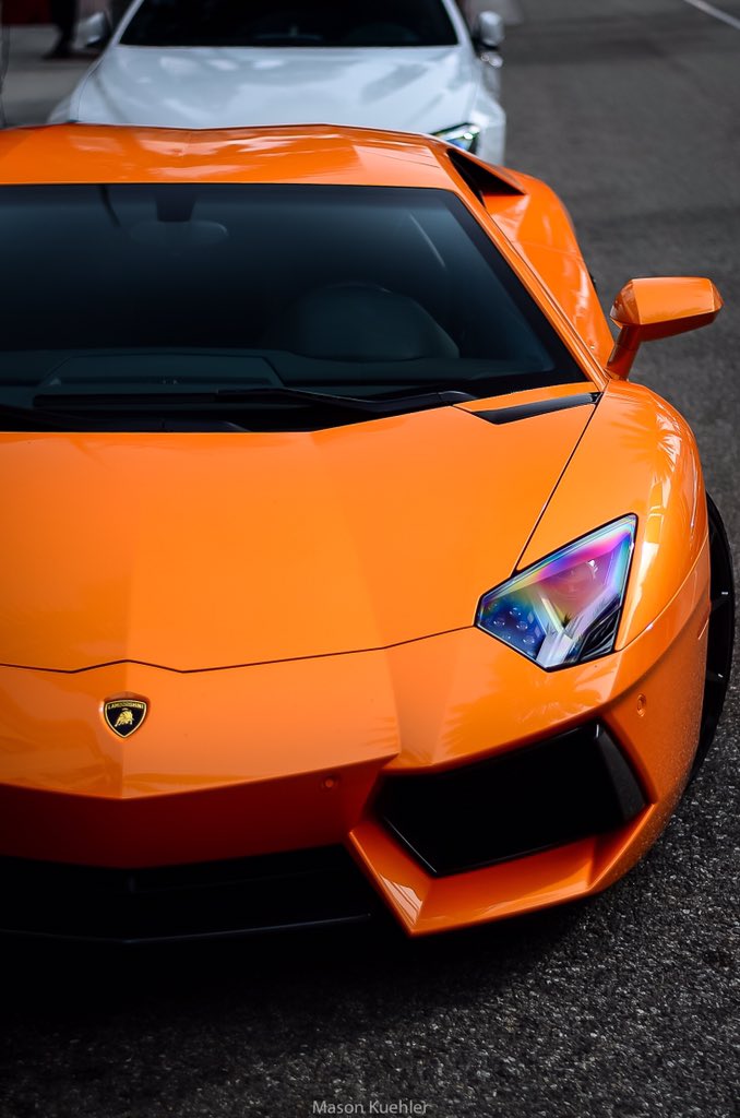 Speed Exclusive tweet media