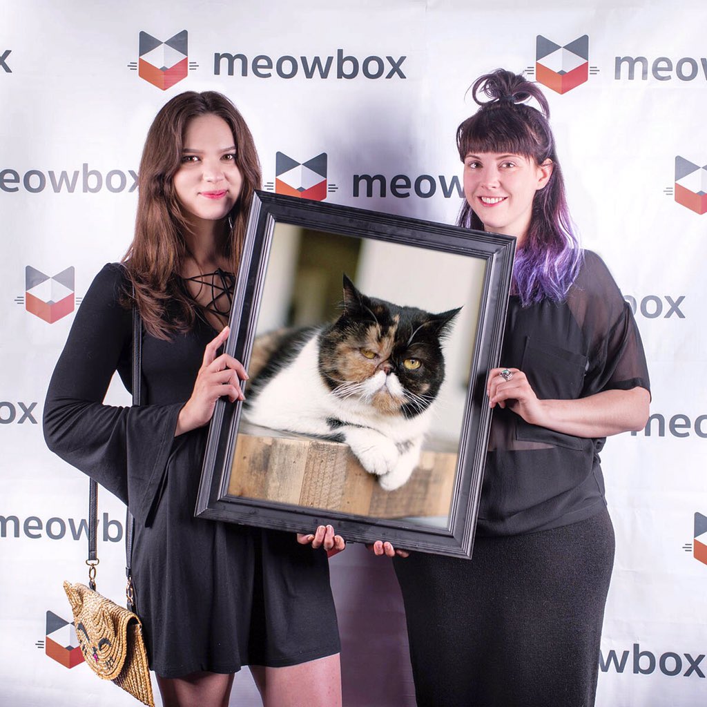 meowbox's tweet photo. Discover the secret humans behind @PudgeTheKitten 😻 https://t.co/sviTZcgAMP #caturday #catchic #catsofinstagram https://t.co/Z2ahE1R2Qm