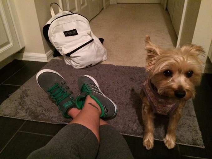 Round 3. My Copilot is having a meltdown. But check out them kicks .. https://t.co/7yIHmcJqYJ<a href="/tag/footworship"class="tags"><span>#footworship</span></a><a href="/tag/clips4sale"class="tags"><span>#clips4sale</span></a><a href="/tag/feetjoi"class="tags"><span>#feetjoi</span></a>