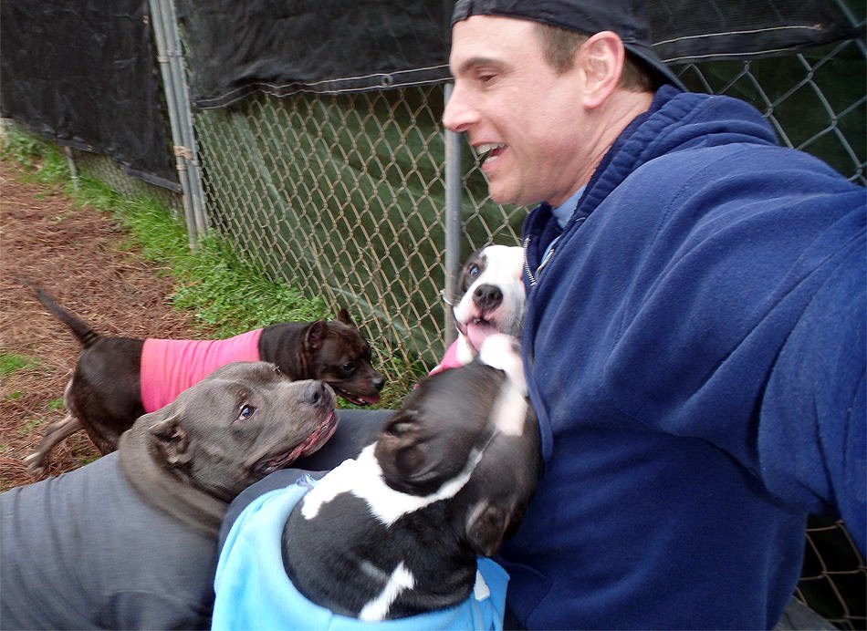 HardRockBullys's tweet image. Getting attention from Lil Miz Dangerous,  Mr Crawley, Lil Tattoo, and Pound Cake today!
HardRockBullys.com