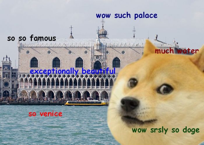 Doge The Dog On Twitter Seriously So Doge Doge Caption