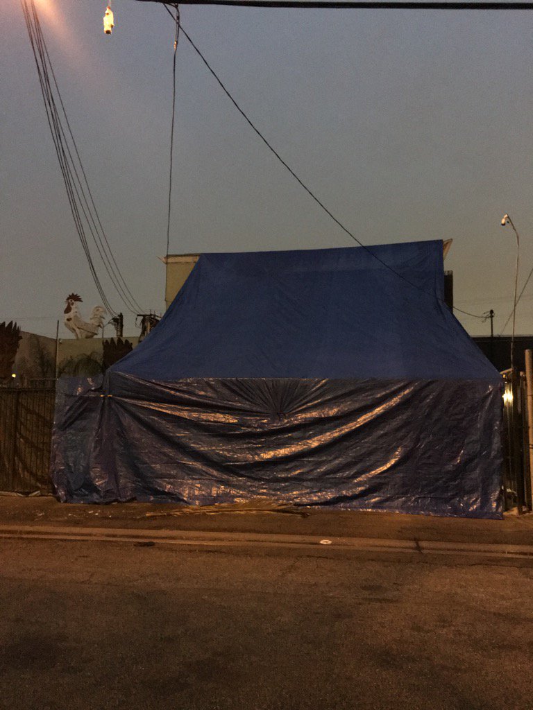 Purple 33 tweet media