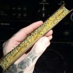 CalifrniaKush_'s tweet photo. Person: "What kind of weed is that?
Me:"Gas"

Person: What is the name of the weed?

Me: "Gas" https://t.co/zIyOzlZCCb
