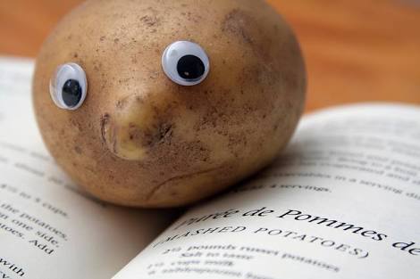 JuliaEmBee's tweet photo. #DontLetDutton keep believing he's anything other than a potato. https://t.co/BLbt8ufdzU