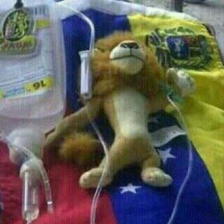 isaacf218's tweet photo. Y Ahora Los Leoneros Q Van Ah Decir https://t.co/ORVOqbaqGE