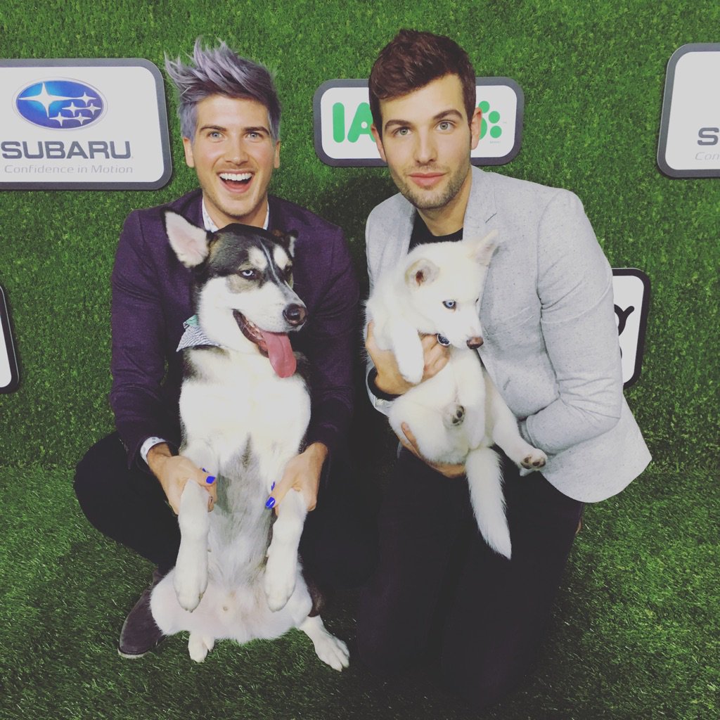 Made it to the #TheDogAwards with these pigs! 🐷🏆🐶
