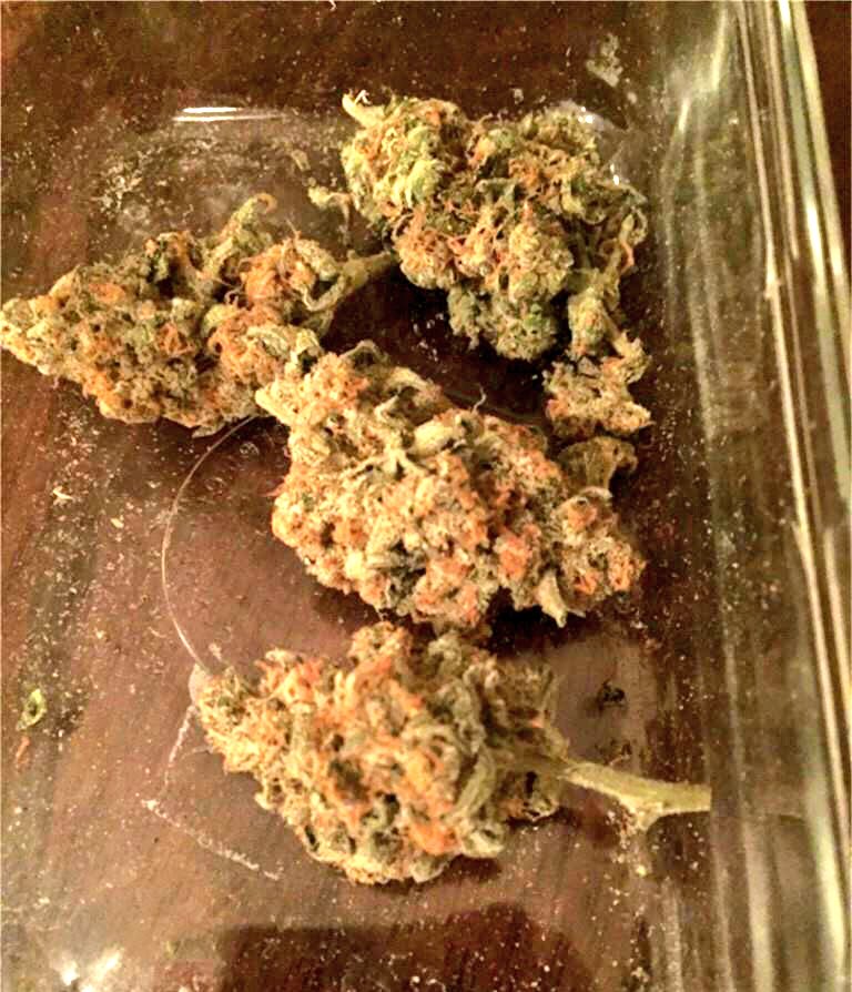 WeedReview420's tweet photo. OG Kush-Hybrid
Effects-Happy&amp;Relaxed 
Medical-Stress&amp;Pain
Taste-Earthy&amp;Pine
Review-Great if you have ADD/ADDHD9/10🤘🏼 https://t.co/skenBkIStO