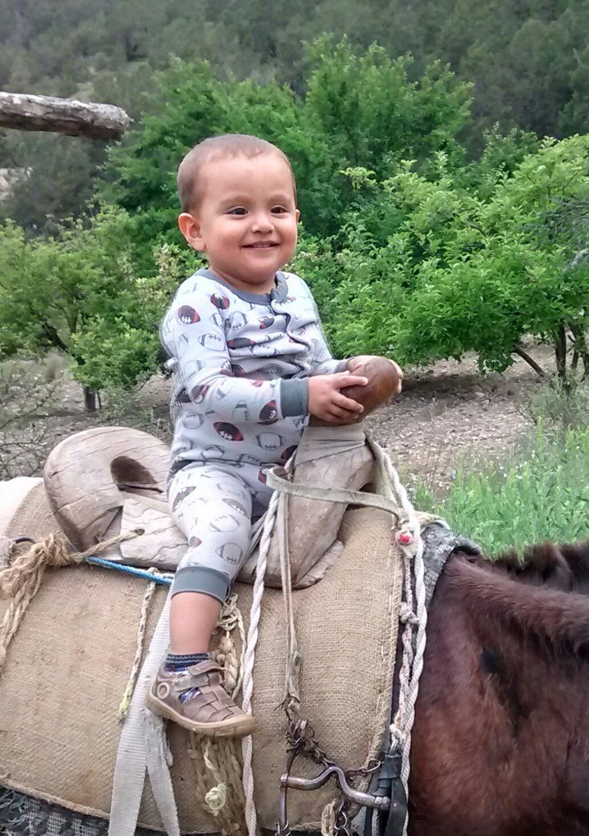 Cesar Ibarra tweet media