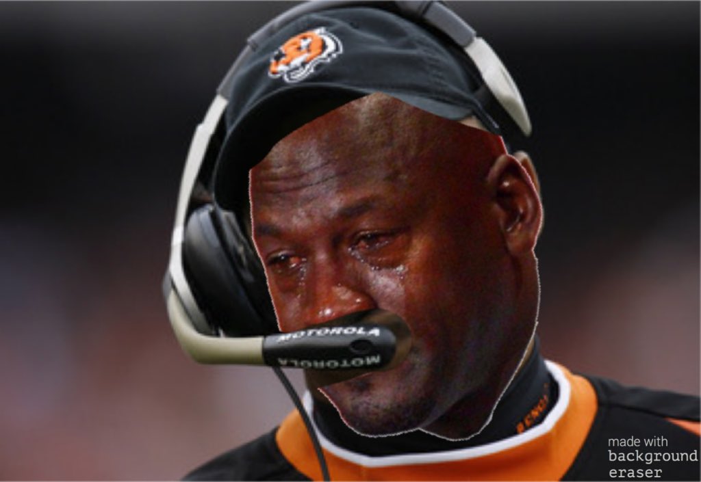 Image result for marvin lewis crying jordan