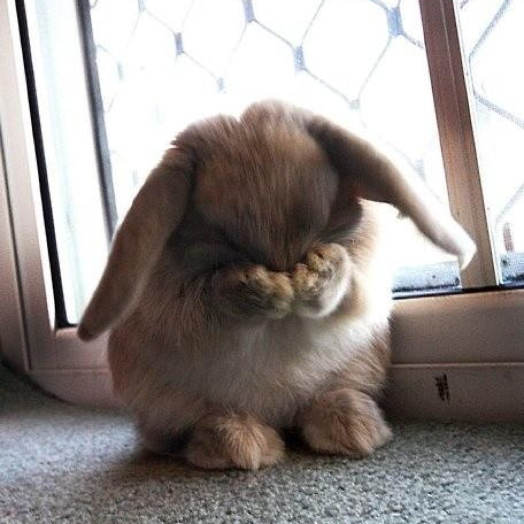 ��������, ��������� ��������