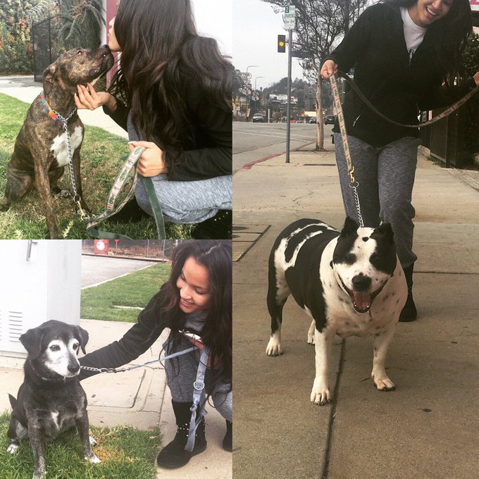 Today volunteering at AGWC Rockin' Rescues 🐶🐱💗!https://t.co/hsRRwmpL93 https://t.co/RJq1tta0io<a href="/tag/itsthatgood"class="tags"><span>#itsthatgood</span></a><a href="/tag/dherbs"class="tags"><span>#dherbs</span></a><a href="/tag/fullbodycleanse"class="tags"><span>#fullbodycleanse</span></a>