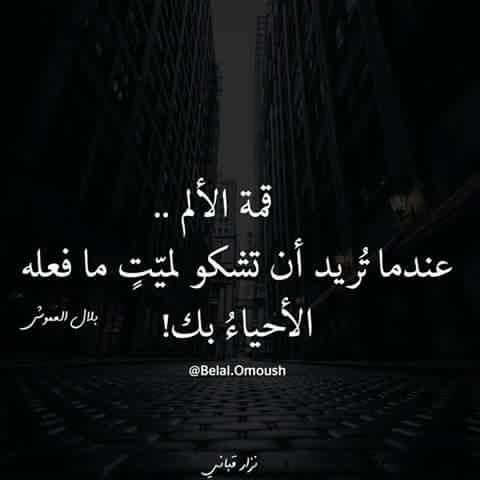 Karar Alkaram (@kararalkaram) on Twitter photo 