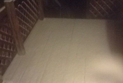 wrongthing10's tweet image. 