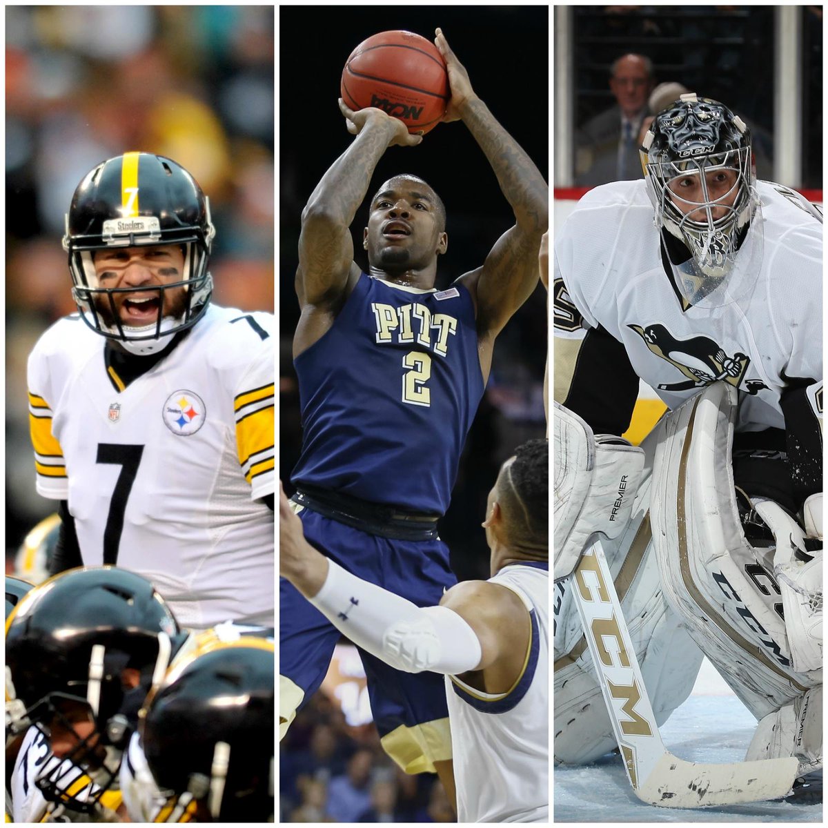 SportsCenter's tweet photo. Great day to be a Pittsburgh fan:
• Steelers top Cincinnati
• #24 Pitt defeats Notre Dame
• Penguins beat Canadiens https://t.co/AlQQska2ov