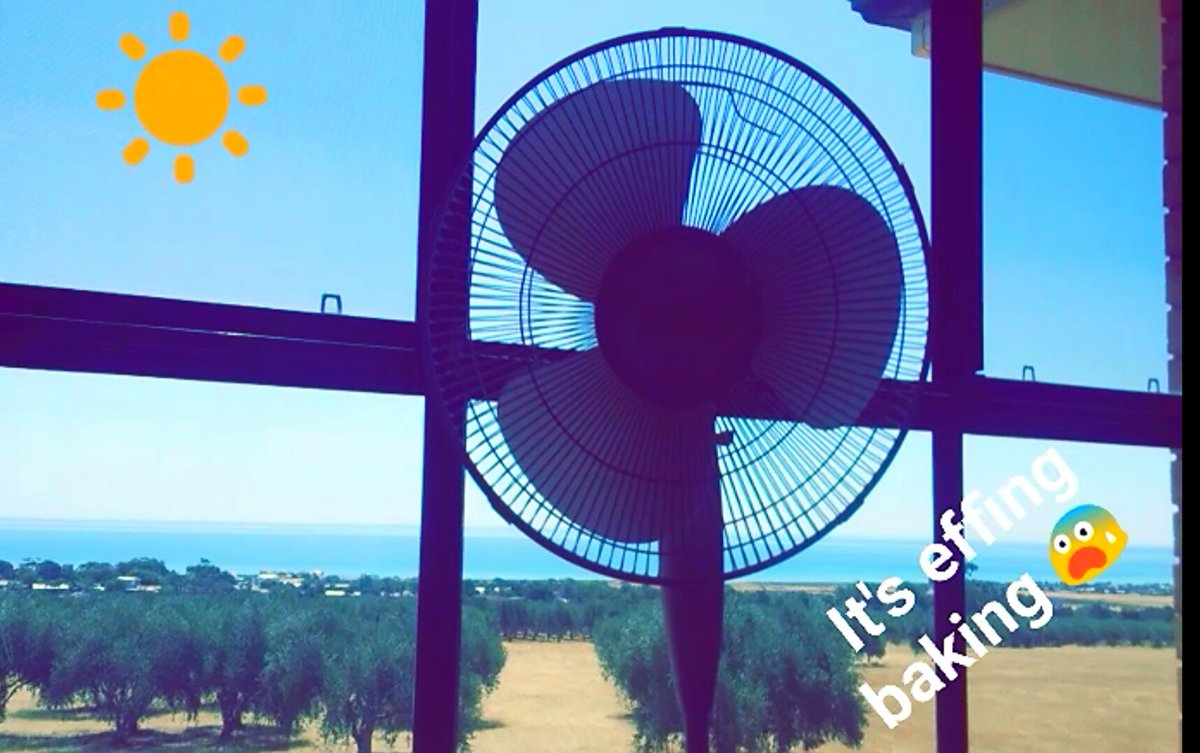 laurensaliu's tweet photo. What summer in Australia means to me 🙊
#baking #sellicksbeach #summerisnova #saweekendsummer #nova @nova919 https://t.co/a85DNdcCz5