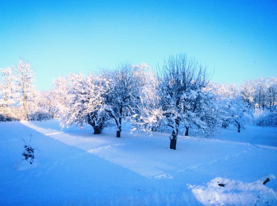 Miljonimaailmavaade, üks helesinine #Like, hea otsatu paik