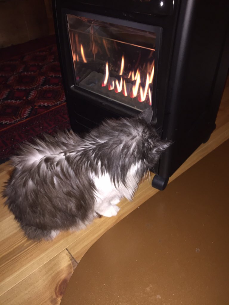 3ippi's tweet image. Minus 30 degrees at the cabin..."just" minus 5 indoors....