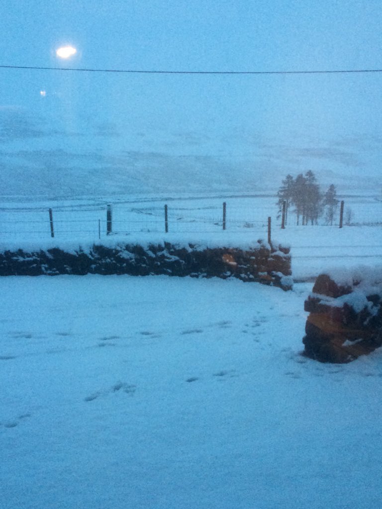 GemPrettyWoman's tweet photo. Bloody hate the snow! https://t.co/aEQt1PDyD0
