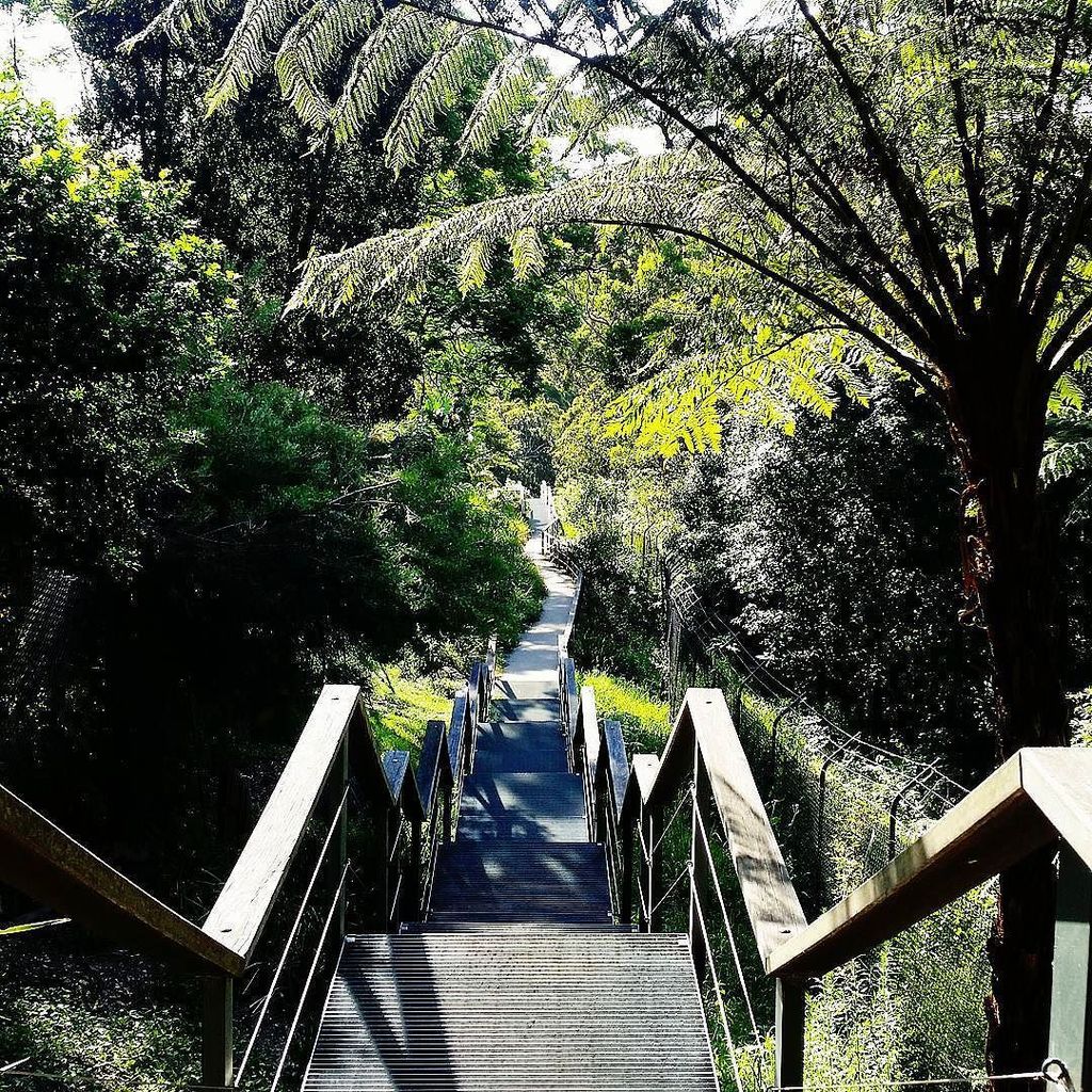 thatsabitnifty's tweet photo. Local paradise... The view from my walk this afternoon. #thatsabitnifty #nifty #fashion #s… https://t.co/Fz9Bn1XOaB https://t.co/MMSmuOZTim