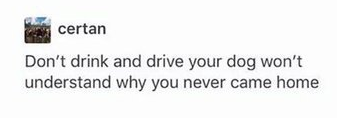CauseWereGuys's tweet photo. If this isn't enough of a reason to not drink and drive idk what us https://t.co/DkfO3df835