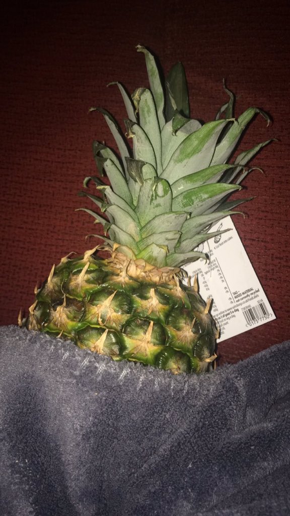 1daresnakes's tweet image. he's part of the family now