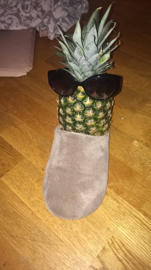 1daresnakes's tweet image. he's part of the family now