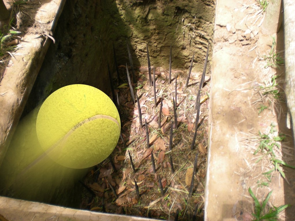 GotYourBallLods's tweet photo. Oops, @YOLODS! I dropped your ball! #oopsies https://t.co/fjGqzrOlct