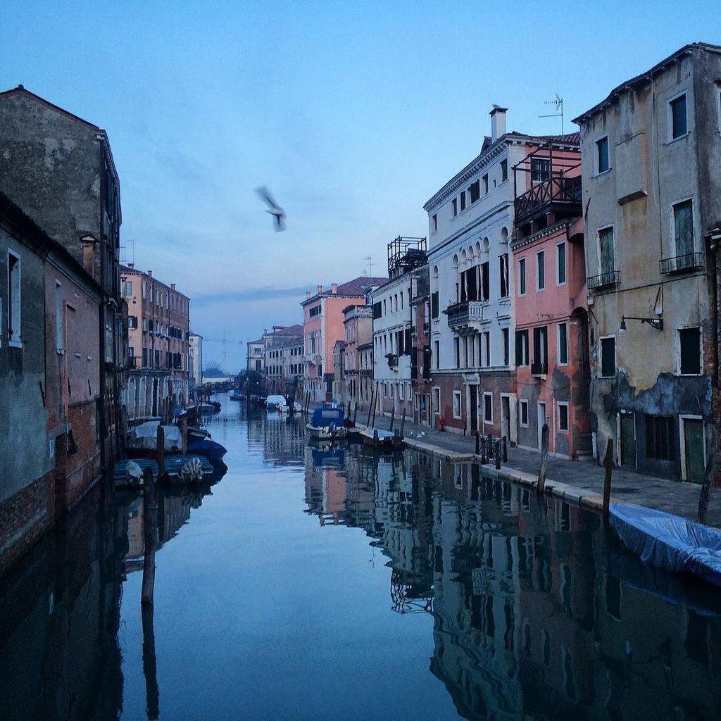 Early morning in Venice ☕️ #thetoastyavocados #hiddenvenice #visitvenice #venice #italy #t… ift.tt/1TNGdhF
