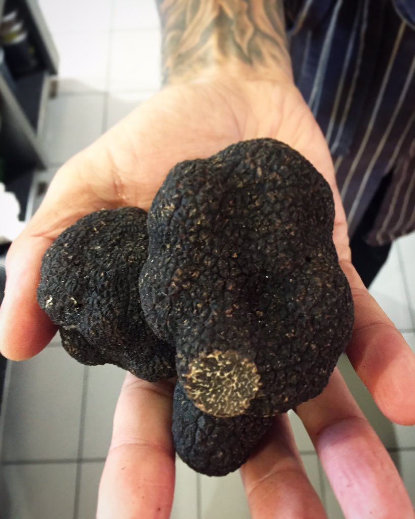 #blackwintertruffle Happy Sunday!