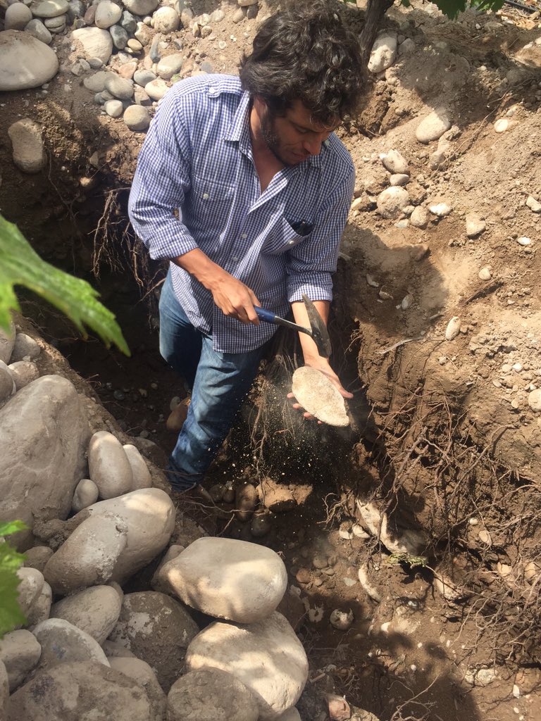 kakashityh's tweet photo. Quejas por la ampliación de la IG Paraje Altamira #supleEco #vitivinicultura https://t.co/YkQF5h8KbE https://t.co/ANQncyTwc6